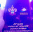 Кущёвский район - лучший по развитию физкультуры и спорта - Газета Вперед